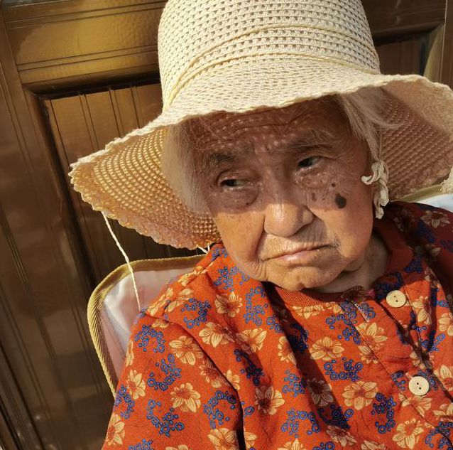 老太太cheapwindowsvps软件