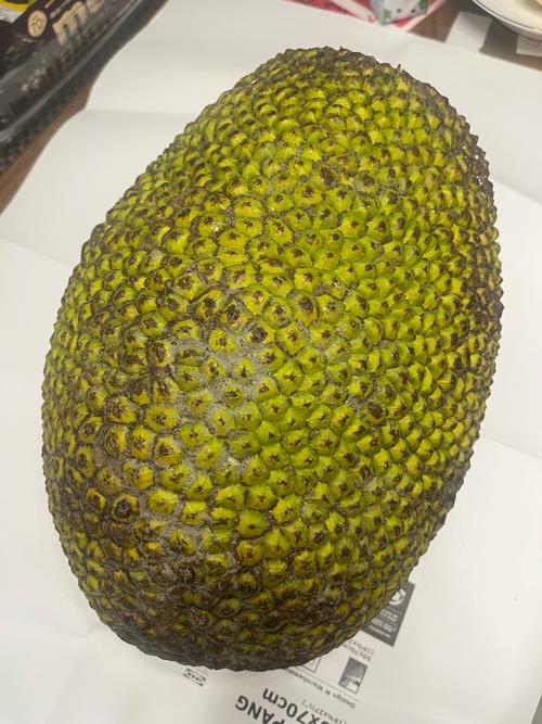 菠萝蜜视频1.4.3安卓版