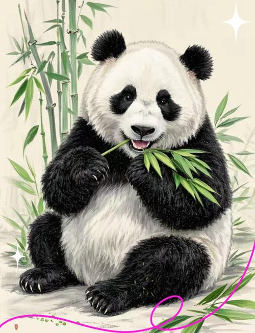 熊猫绘图