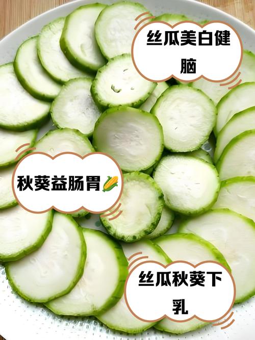 秋葵 茄子 丝瓜 绿巨人网站最新版