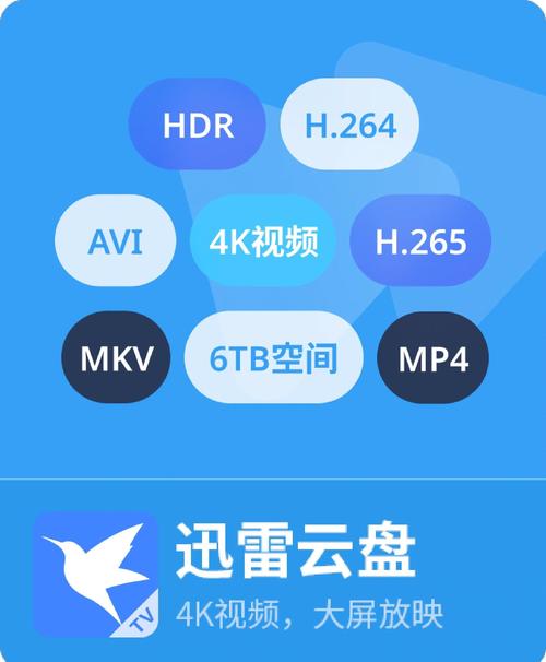 预见未来迅雷下载