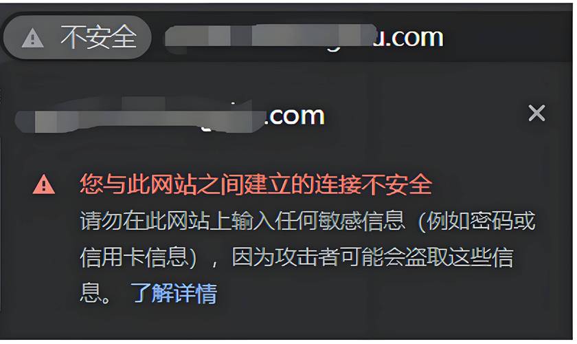 不良网站进入窗口软件打开不用钱