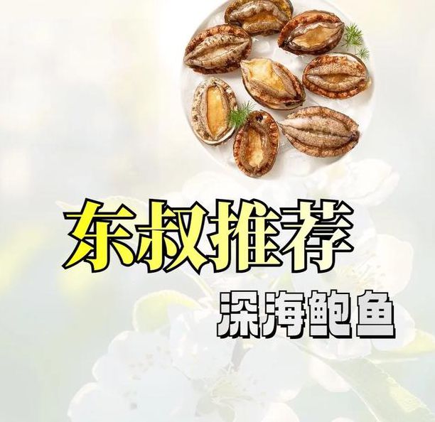 鲍鱼网名区域2022