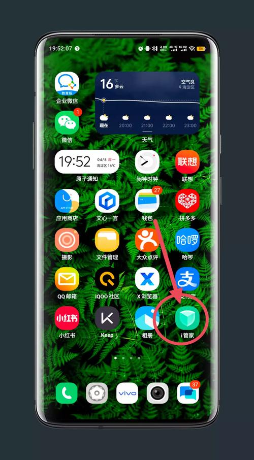 软件app