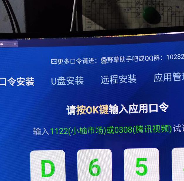 vpswindows野外直播软件