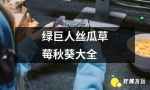 绿巨人苹果香蕉榴莲秋葵丝瓜导航