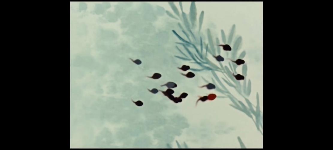 小蝌蚪免费下载哔哩哔哩