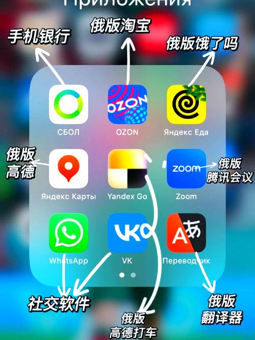 能播放的zoom俄罗斯