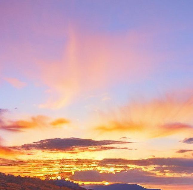 秋霞特色AA大片