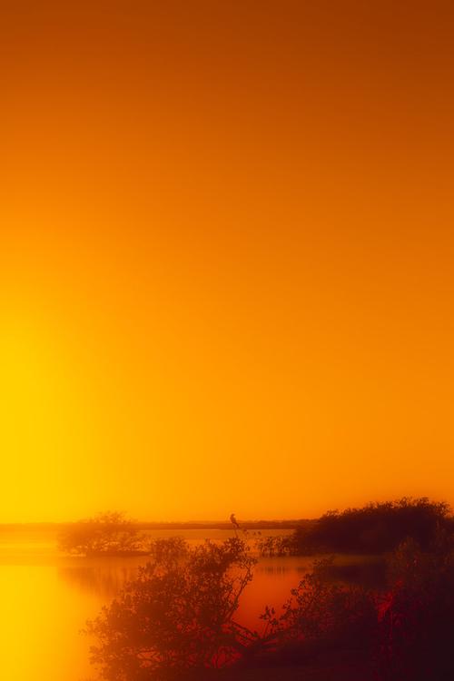 秋霞特色AA大片