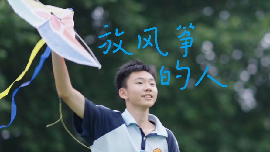 放风筝的人下载