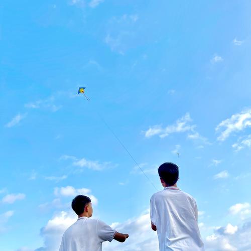 放风筝的人下载