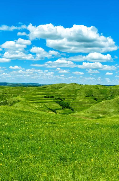 青青草原一区二区三区