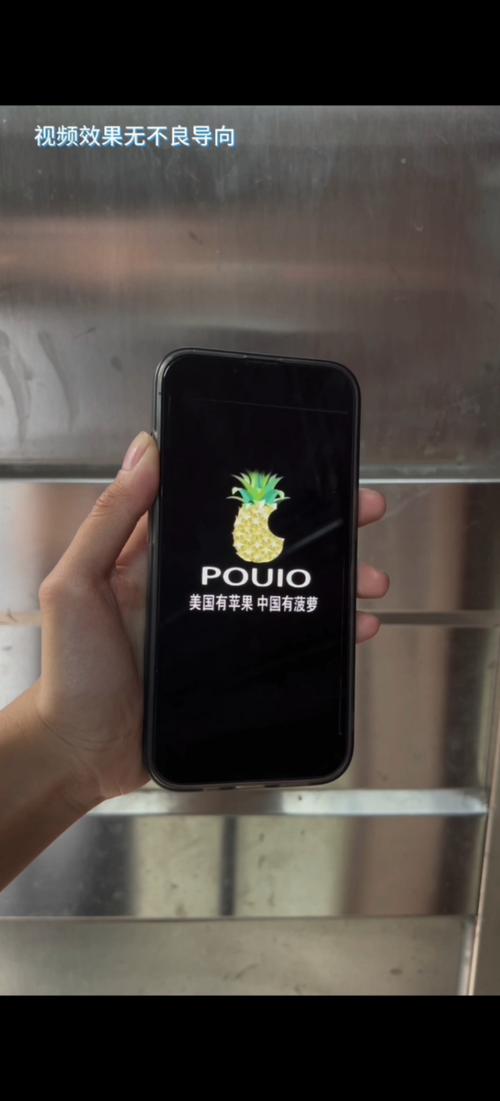 大菠萝富二代app
