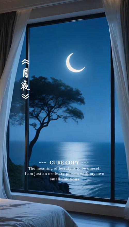 月夜影视视频在线观看免费播放