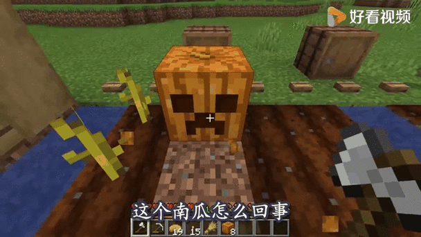 106677南瓜视频3.2.5安卓版