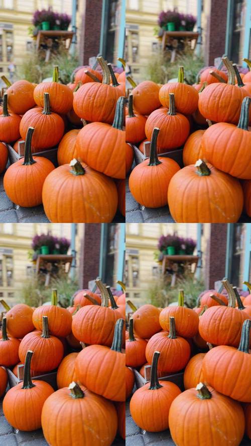 106677南瓜视频3.2.5安卓版