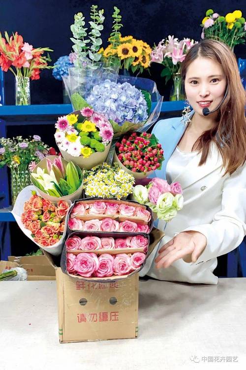 鲜花直播在线观看