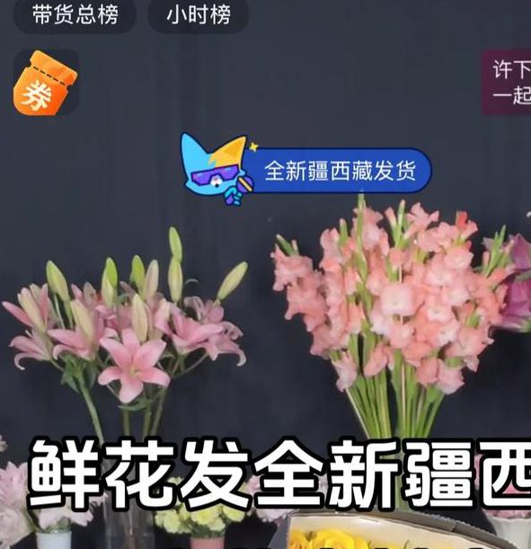 鲜花直播在线观看