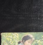 忘忧草资源在线观看播放