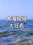 大海视频V2.0.0