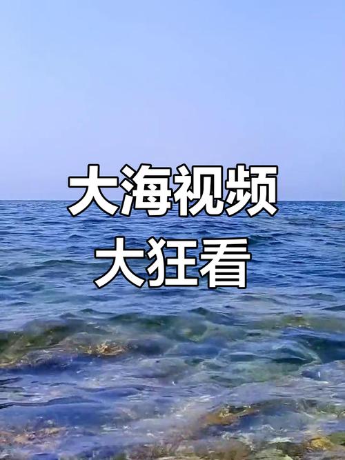 大海视频V2.0.0