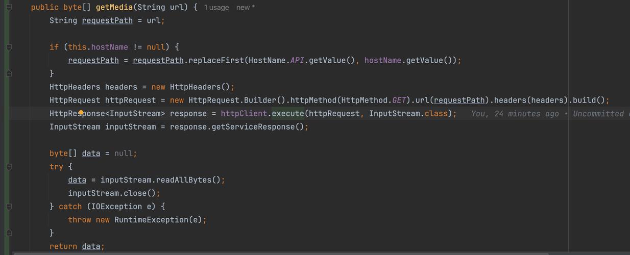 japonensisJAVA可播放