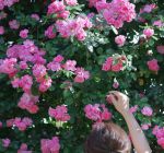 蔷薇直播间dubaimall