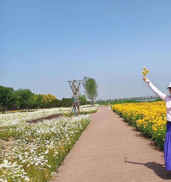 花海直播在线观看