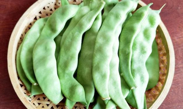 秋葵视频草莓视频向日葵视频丝瓜视频黄