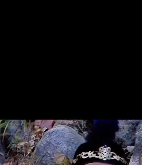 八戒八戒完整版