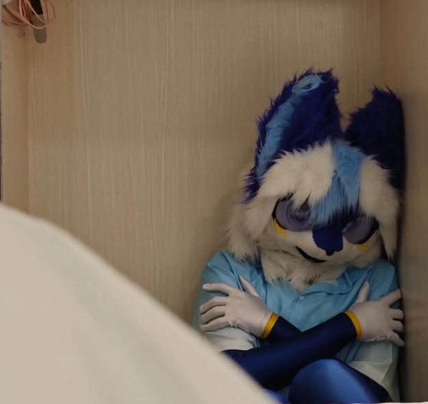 closeup毛茸茸pics大全