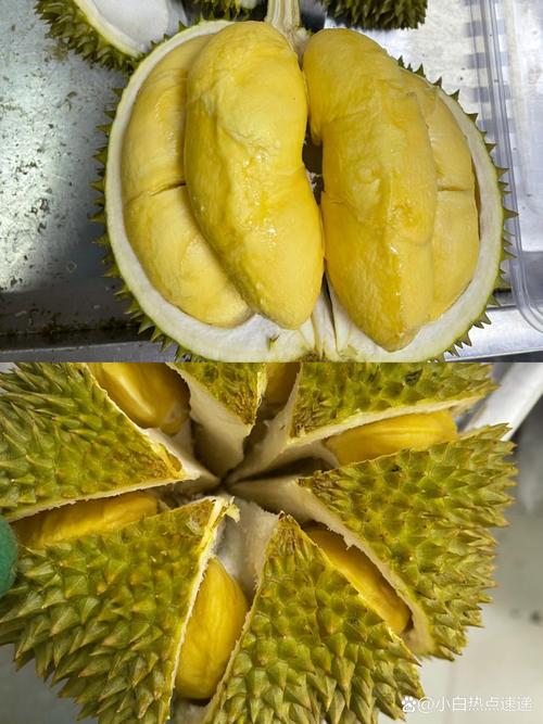 哪里还能下老版本榴莲