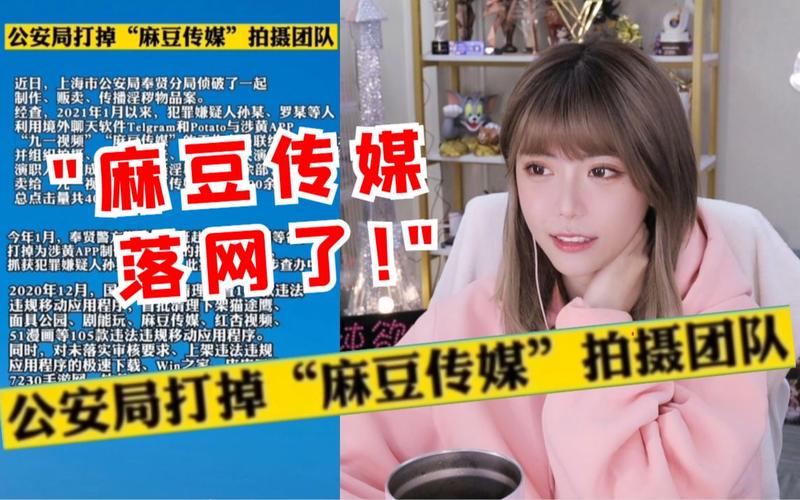 麻豆文化传媒app官网入口