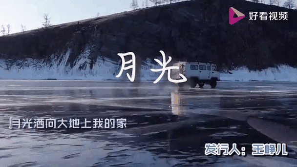 月光视频在线下载