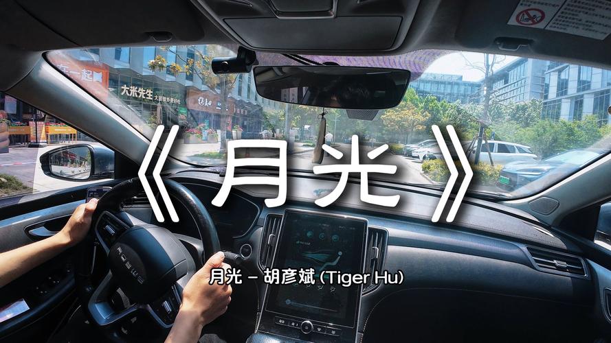 月光视频在线下载