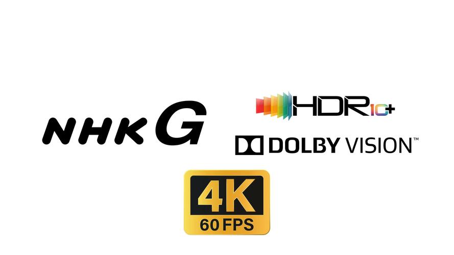 kdp频道官方在线