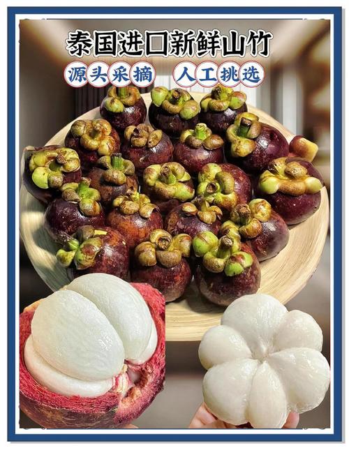 山竹视频免费观看完整版