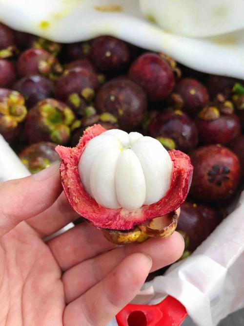 山竹视频免费观看完整版