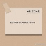 蜜芽牢记10个地址永不失联