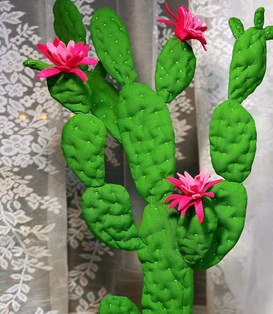 仙人掌视频嘿呦嘿呦版