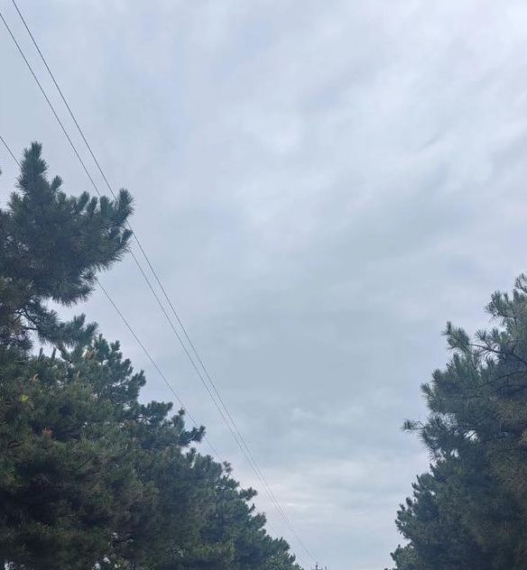 安卓搜完你会感谢我的