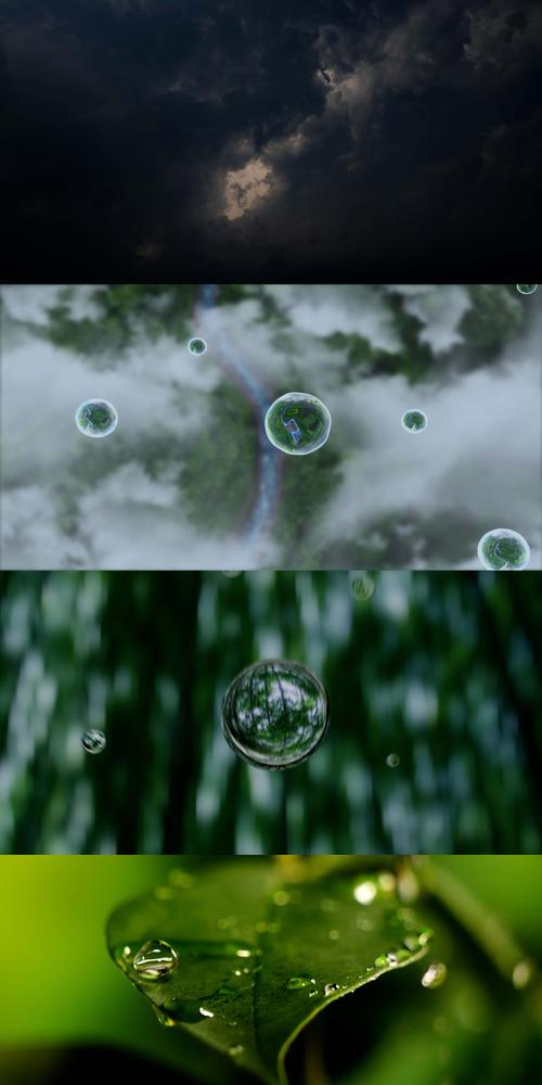 水滴直播视频资源