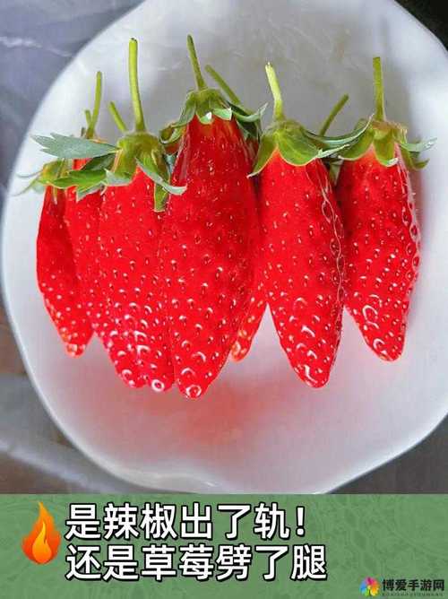 草莓香蕉樱桃黄瓜丝瓜榴莲幸福宝