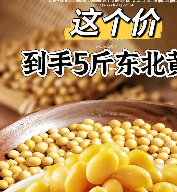 黄豆视频 黄豆精品 黄豆库