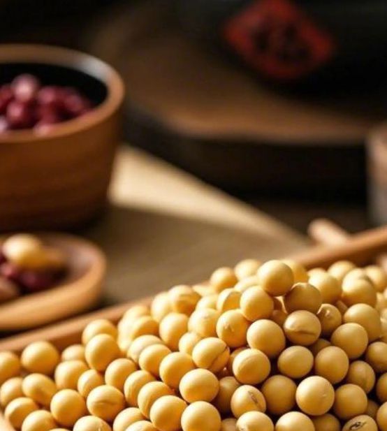 黄豆视频 黄豆精品 黄豆库