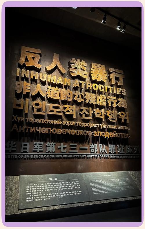 一二三四日本高清视频图片最新