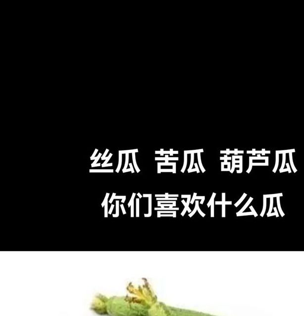 xrk1_3_0ark丝瓜无限观看解锁版