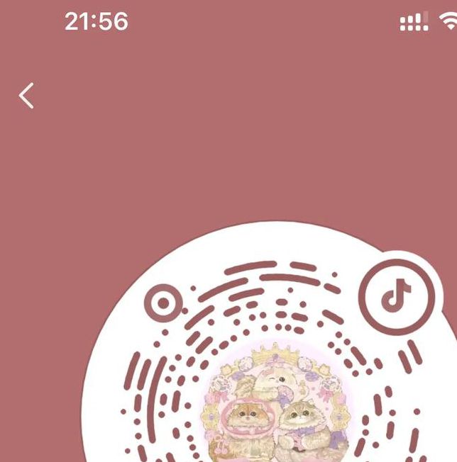 猫咪直播版永久vip账号