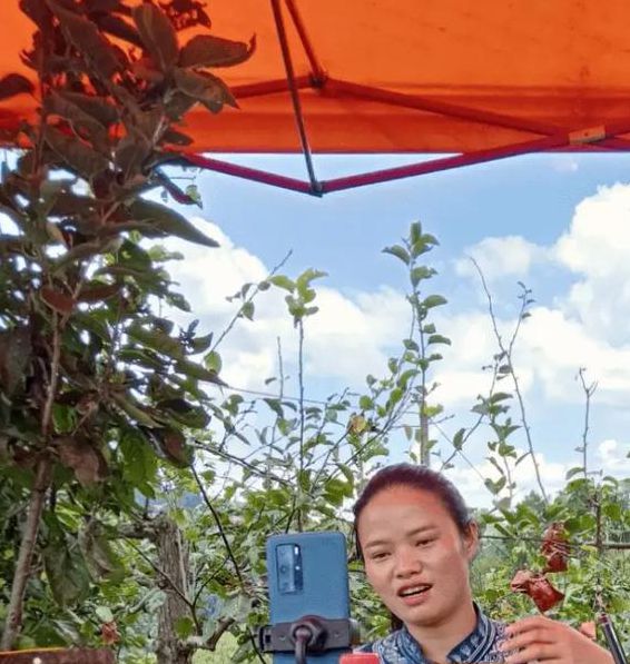 乡村户外直播间